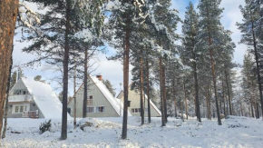 Отель Holiday Village Hetan Kota  Энонтекио